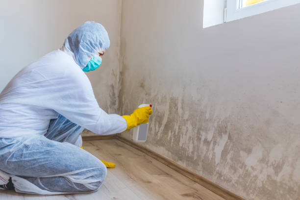 Mold Remediation specialist working in Fairfax